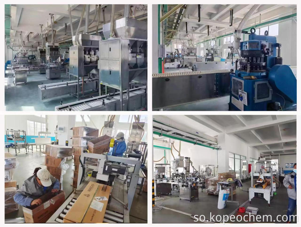 Macluumaadka shirkadda Company information